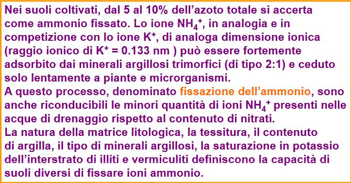 Denitrification Volatilization Fissazione degli ioni ammonio N 2 O NO N 2 9 8 N 2 N 2 O NO NO 2 N Transformations (Italics) NH NH NH 4 + 2 Nitrification 4 Plant Uptake NH + 4 solution NH 4 +