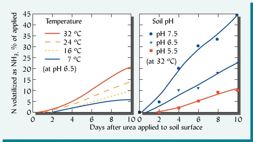 Volatilizzazione dell ammoniaca Le perdite di N-NH sono influenzate dalla temperatura e dal ph del suolo.