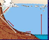 IL CICLO DELL ACQUA (ciclo idrologico) Rappresenta l insieme di tutti i fenomeni legati all acqua nel suo naturale movimento sulla superficie terrestre.