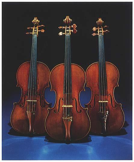 Strumenti a corda strofinata Violino