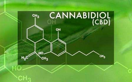 Cannabidiolo ( CBD ) Interagisce come agonista verso i recettori dei cannabinoidi GPR55, verso i recettori vanilloidi TRPV1 e TRPV2 e verso i recettori per la serotonina 5-HT1a.