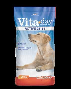 ACTIVE 25-11 Mangime completo per cani VitaDay ACTIVE è un alimento completo per il mantenimento di tutti i cani.