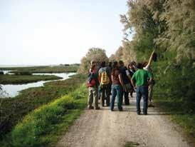 AMBIENTE E TERRITORIO botaniche della pineta ed esercitazione pratica di birdwatching sulle rive della Pialassa Baiona con il supporto di schede e binocoli individuali.