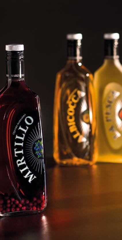 Liquori alla frutta La professionalità della Distilleria Marzadro trova espressione anche nei liquori alla frutta, contraddistinti da toni freschi e ricercati.