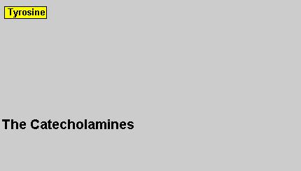 Amine biogene: catecolamine (dopamina, noradrenalina, adrenalina) serotonina istamina Dopamina, noradrenalina e adrenalina sono catecolamine che hanno in comune la stessa via biosintetica che parte