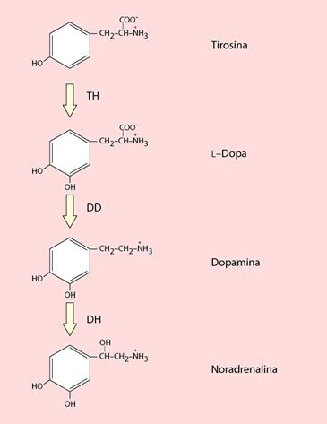 Biosintesi