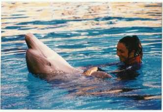 ACCIAI MONICA Monica ha iniziato la sua carriera professionale nel 1995 specializzandosi come comportamentista in mammiferi marini collaborando con Parchi Marini in Italia ed in tutto il mondo.