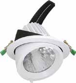 3600 3000 ±10% >85 230Vac 1200mA 40 +45 IP20 8 I1361NW B N 40W Bridgelux Eaglerise 4000 4000 ±10% >85 230Vac 1200mA 40 +45 IP20 1 8 I1361WW/60 B / N 40W Bridgelux Eaglerise 3600 3000 ±10% >85 230Vac