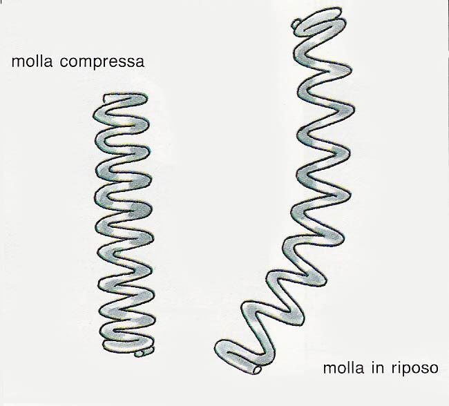 La molla compressa ha energia potenziale, ma questa si