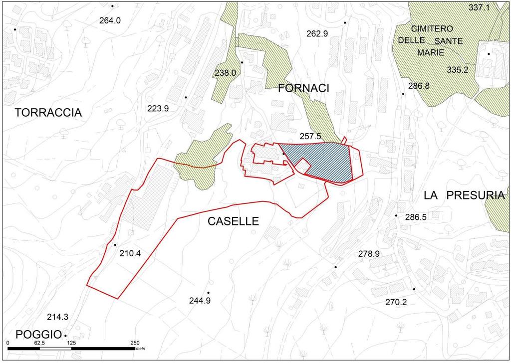 Riformulazione del perimetro dell area boscata (in tratteggio verde) secondo il PIT in relazione al comparto di trasformazione urbanistica TRm08 (in tratteggio blu la particella esaminata) Il