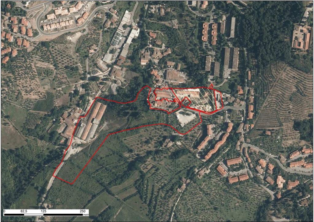 1 PREMESSA Su incarico della GPA Ingegneria Srl viene stilata la seguente perizia tecnica ai fini della verifica della presenza di una copertura vegetale esercitata da specie riconducibili a