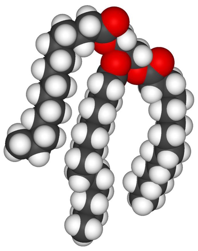 I trigliceridi (o lipidi o grassi) Composti da idrogeno, carbonio e ossigeno. Sono formati da tre catene di carbonio e idrogeno tenute assieme da un blocco chiamato glicerolo (formato tre gruppi OH).
