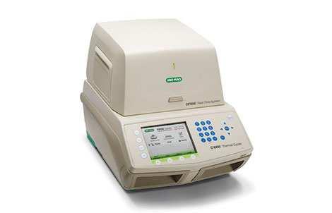 Diagnosi/3 Diversi protocolli di RT-PCR protocolli disponibili: End point RT-PCR