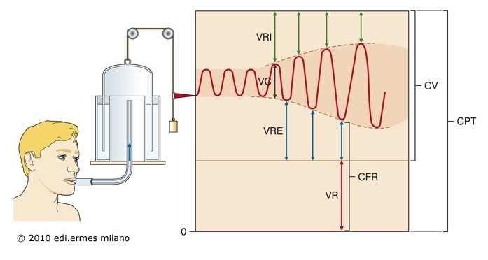 Volumi Capacità Volume Corrente (VC) Fine normale espirazione Volume residuo (VR) Volume di riserva inspiratoria (VRI) Capacità polmonare totale (CPT) Volume di riserva espiratoria (VRE) Capacità