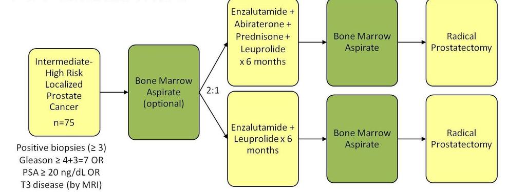 TERAPIA NEOADIUVANTE INTENSA : Studio in fase II End-point primario: definire la pcr