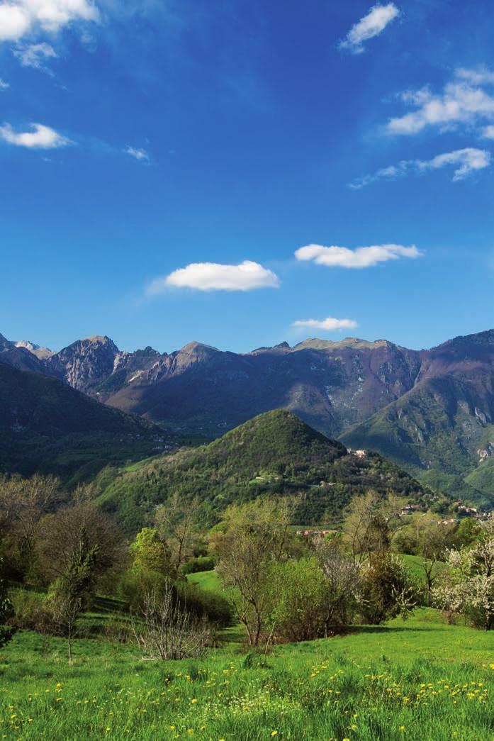 Comune di Vestenanova Comune di Badia Calavena