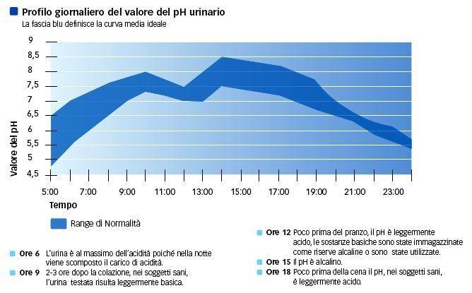 Quando il ph delle urine si presenta troppo alto (e quindi siamo di fronte all alcalinità delle urine che si presenta quando il ph è pari a 7.