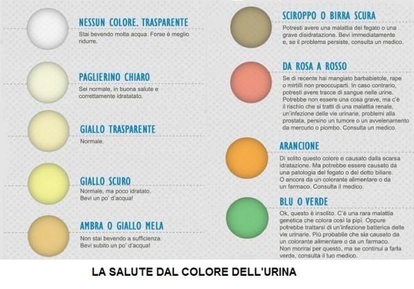 Il colore connesso alla più o meno accentuata idratazione corporea è così classificato: Per l intorbidamento in particolare le cause possono essere: - Lo stare in piedi a lungo, può aumentare la