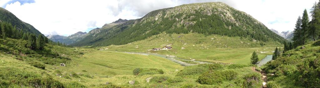 Argomenti del giorno Quali sono i corretti comportamenti durante la caseificazione in malga?