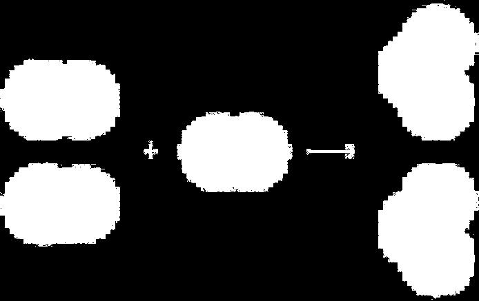 reagenti, -principio di conservazione della carica: la somma algebrica delle cariche degli ioni dei prodotti deve essere uguale a quella dei reagenti.
