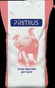 Disponibili in farina e pellet, tutti i mangimi Primius vengono lavorati secondo tecnologie sicure ed ottimizzate per le condizioni dei moderni allevamenti, garantendo il benessere di suini e scrofe,