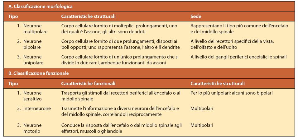 Classificazione