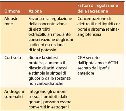 costituita da cellule