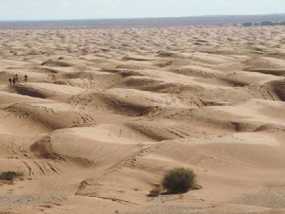 Al pomeriggio con i camper su strada asfaltata ci inoltriamo nel Sahara tunisino all oasi di Ksar Ghilane attorniata dalle dune di sabbia.