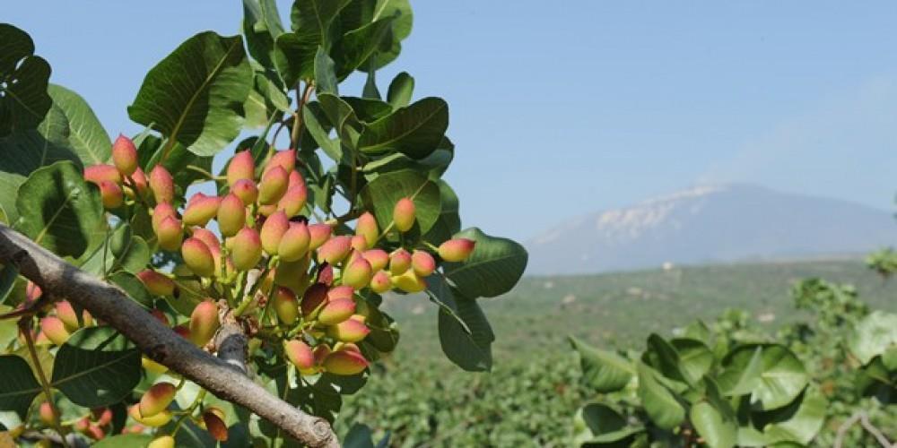 Grazie all'esperienza acquisita siamo in grado di garantire prodotti di altissima qualità, utilizzando le nostre competenze nella