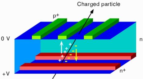 Il diodo come rivelatore di particelle Una particella carica attraversa un sottile strato (300µ m) di silicio drogato n ed interagendo con il materiale libera 24000 coppie e/h (x Z 2 ) Sulla