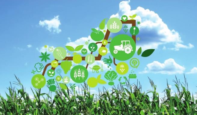 Vision Una visione del futuro della filiera agricola ed agro-alimentare secondo cui, grazie alle tecnologie digitali, l intero comparto aumenterà la