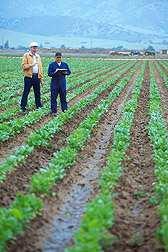 (quali agricoltura, settore alimentare,