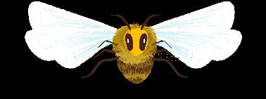 Probabilmente avrai sentito il ronzio di un ape, ma ti sei mai chiesto come fa a produrre