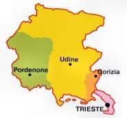 Regione FVG Decreto 127/VETAL 22/02/2012 Coinvolte 107 microimprese (55 a Udine; 31 a Pordenone; 14 a Gorizia; 7 a Trieste)