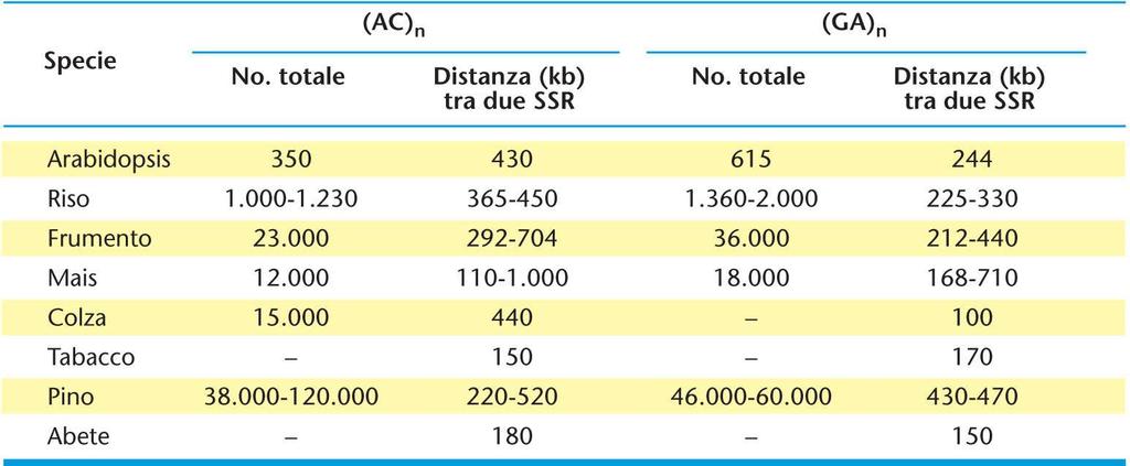 17.7 MARCATORI MOLECOLARI BASATI SU TECNICHE DI AMPLIFICAZIONE (PCR-DERIVATI) MARCATORI