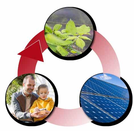 Sostenibilità Cosa significa sostenibilità? La definizione più autorevole di sviluppo sostenibile deriva dal Rapporto Brundtland Our Common Future del 1987.