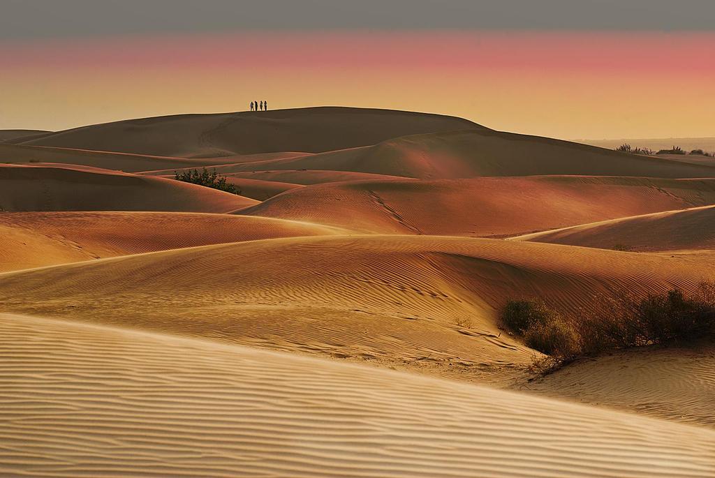 INDIA RAJASTHAN DESERT