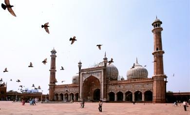 Cominceremo l esplorazione della Vecchia Delhi da Jama Masjid, la moschea più grande d India, che può contenere oltre 25.000 fedeli.