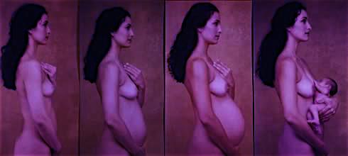 ALLATTAMENTO 21 aprile 2012 Durante la gravidanza il seno va incontro ad una serie di cambiamenti che sono funzionali alla produzione del latte necessario alla nutrizione del neonato.