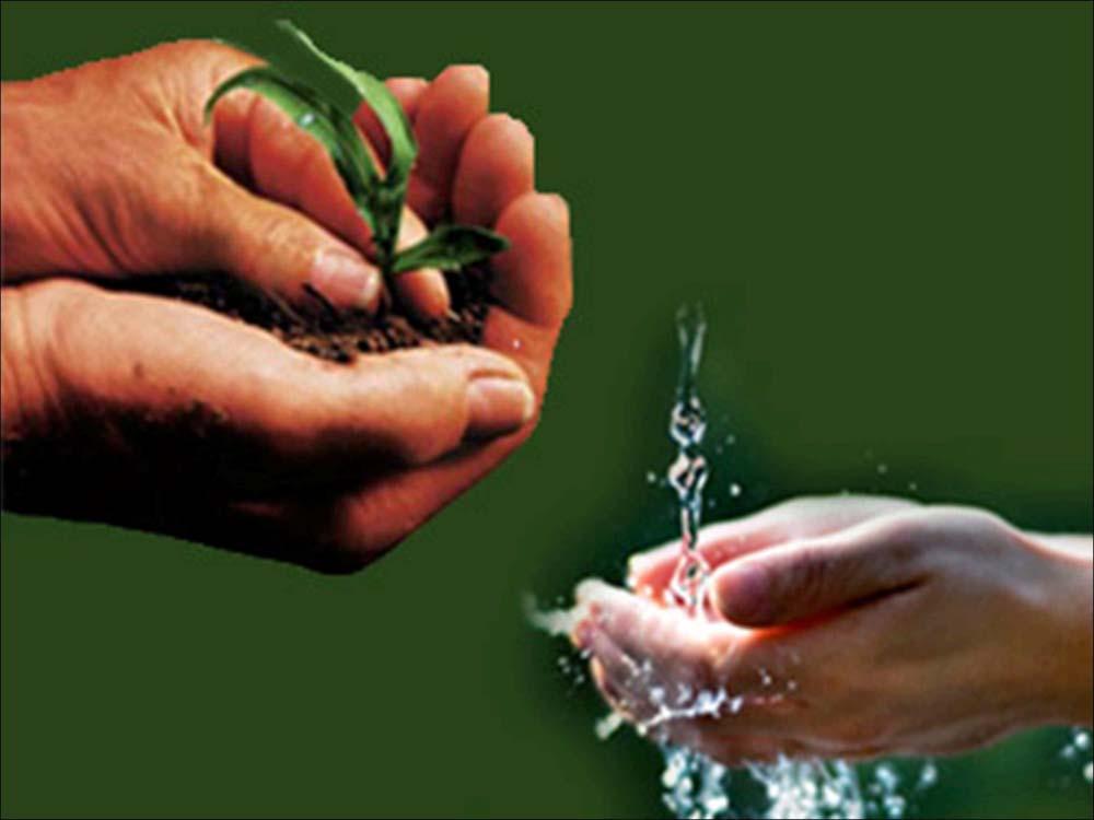 Conclusioni L acqua è una risorsa naturale e va rispettata, ma l irrigazione non èuno spreco L acqua è una risorsa disponibile, fatto salva la competizione per altri usi e il flusso minimo vitale nei