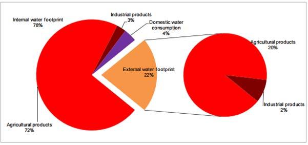 WATER FOOTPRINT Contenuto di acqua virtuale dei più comunui alimenti La produzione di un chilogrammo di carne richiede circa 15 mila litri d'acqua (93% di verde, 4% di blu, 3% di impronta di acqua