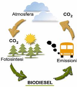 Biodiesel: Il perche di una scelta Unico carburante rinnovabile (Kyoto) Effetto Serra 15 anni di