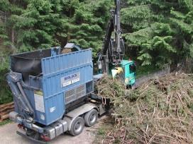 sostanza secca Scarti di legno vergine di segheria Qualità