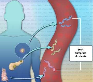 Le cellule tumorali circolanti sono cellule tumorali che si distaccano dal tessuto tumorale per poi migrare attraverso i vasi sanguigni.