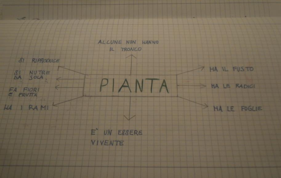 ANCORA STORIE DI SEMI Insegnante: Cosa possiamo