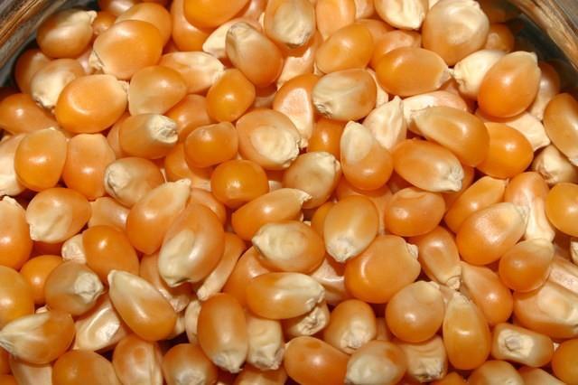 Ying: Il mais è arancione e un po bianco Asia: Ha una forma