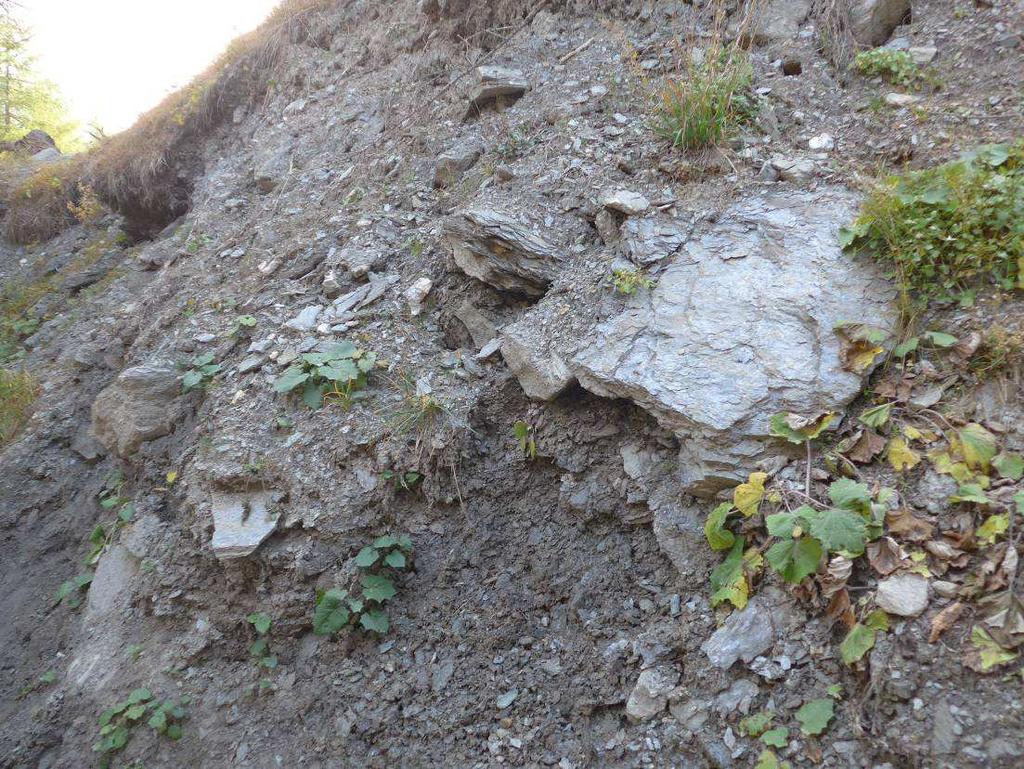 ASBESTI Nella Val Troncea sono presenti significativi affioramenti di litotipi asbestiferi.
