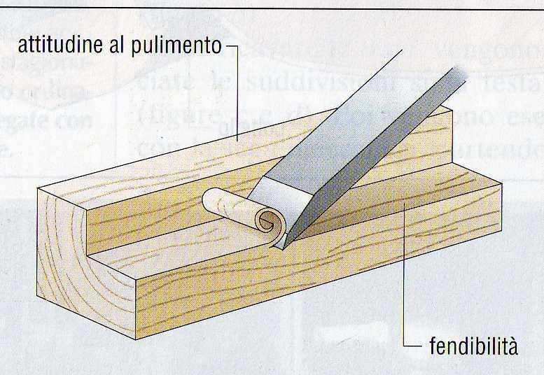 senso delle fibre.