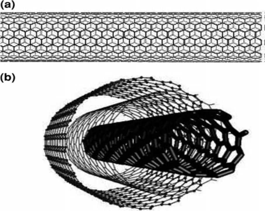 nanostrutture a base di carbonio, come i CNT, è uno dei più attraenti approcci per le applicazioni neurologiche.