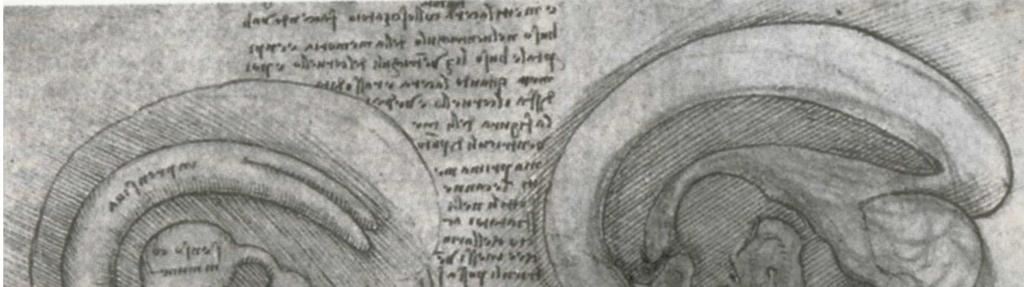 Leonardo da Vinci (1452-1519) Primo